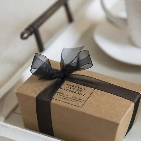 Bed & Breakfast Engelen Aan De Waterkant Ghent